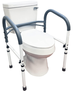 mounted toilet safety rail